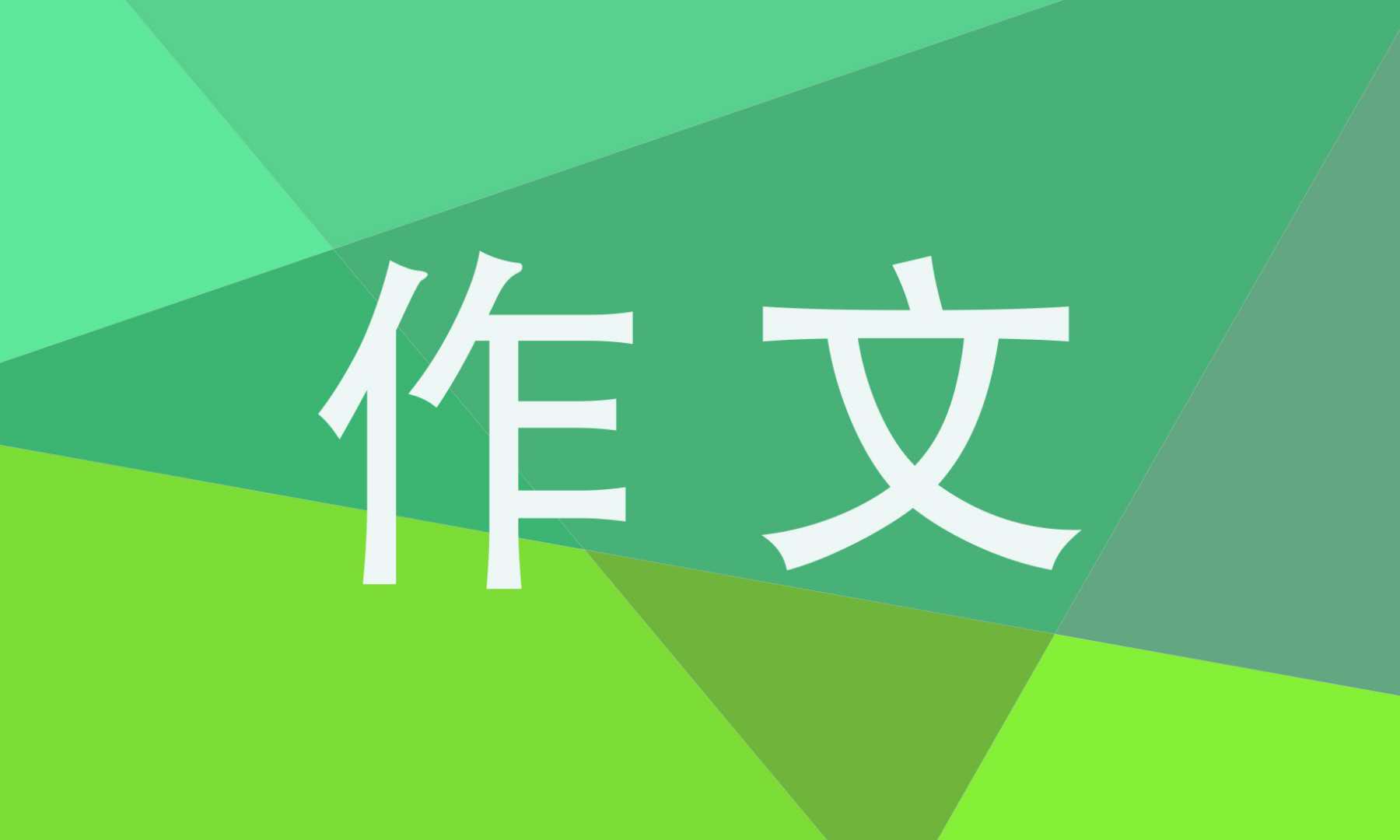 20年后的家乡五年级作文500字