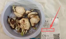 盒马误送有毒水仙球致老人孩子中毒 赔偿375万分歧较大仍在协商