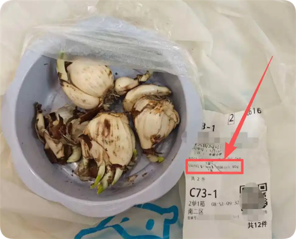 盒马误送有毒水仙球致老人孩子中毒 赔偿375万分歧较大仍在协商