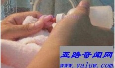 世界上最小的熊猫 出生时体重仅有51克
