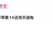 女子1万多买二手苹果iPhone 14还充不进电：买了个残次品