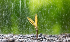 北京暴雨过后出现“双彩虹”：网友纷纷驻足围观