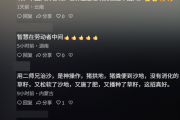 中国人靠着10万头黑猪 把沙壁整顿成了粮仓?