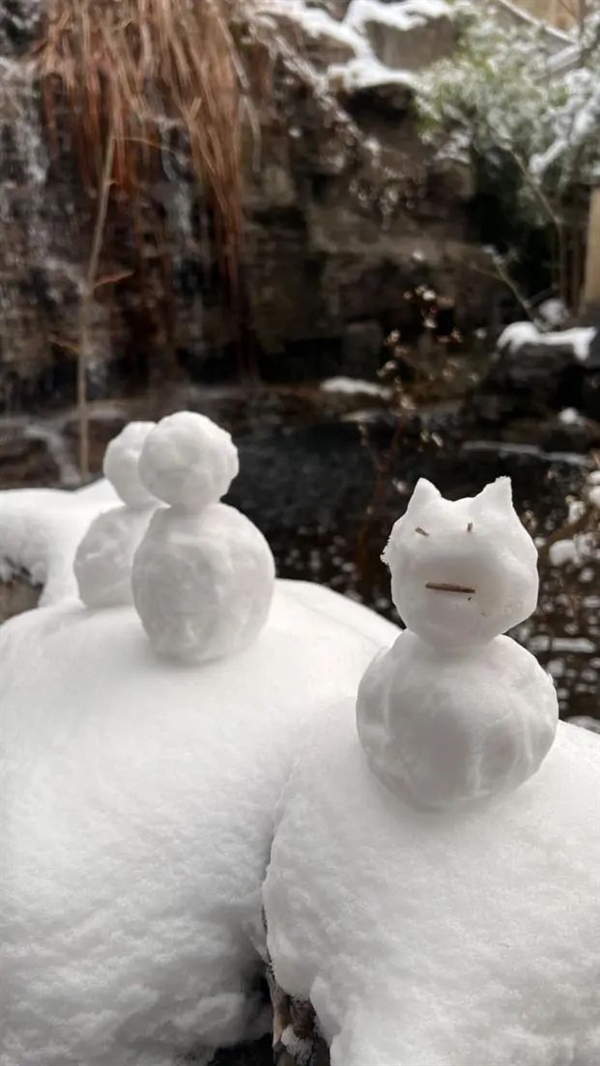 雪花有几个瓣? 你可能还真不清楚！