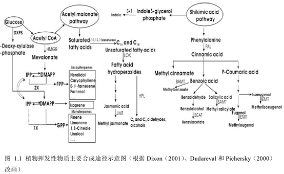 香的、臭的…居然还有腥的！植物为什么会有气味呢