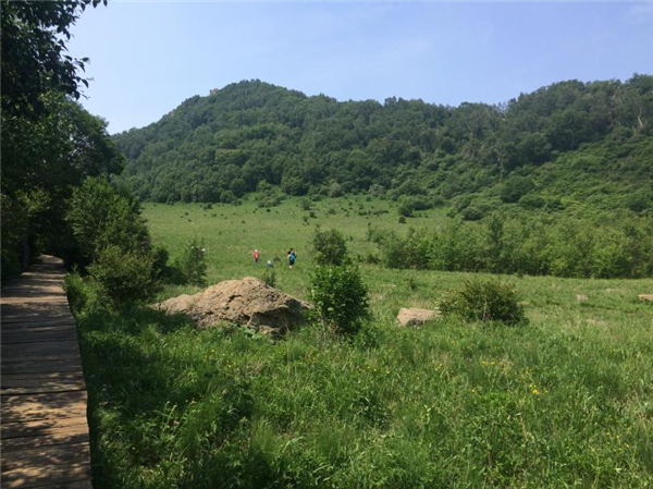 数千人涌入割韭菜:北京的这座山被“薅秃了”
