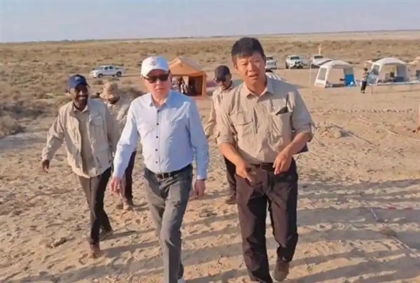 中国人在沙漠里放了10万头黑猪:解决世界级治沙难题