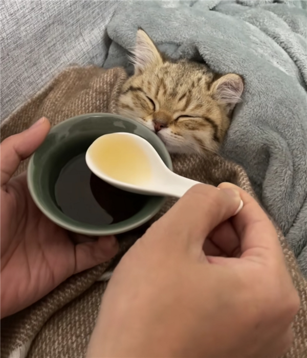 22年毒死至少11任丈夫 伊朗“黑寡妇”56岁被抓