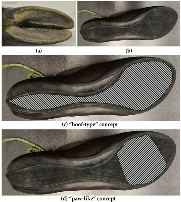 为什么山羊能够攀爬悬崖峭壁 和猴子相比谁更强