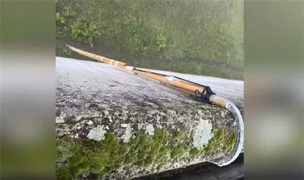 16年成功越狱4次！意大利臭名昭著囚犯再上演“金蝉脱壳”