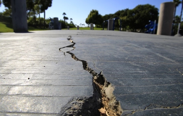日本大阪一河道涌入鱼群：覆盖整个河面 居民担忧地震