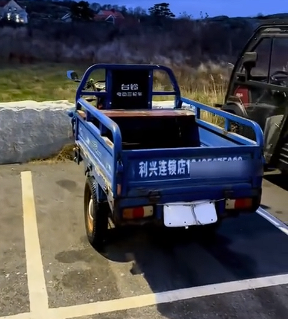 男子瑞典偶遇中国电动三蹦子:误以为回村了