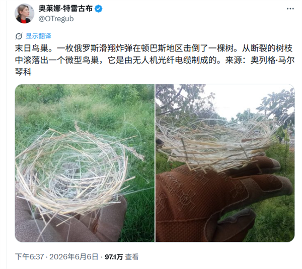 全球首例!乌克兰鸟类已适应战场环境:用无人机光纤电缆编织巢穴