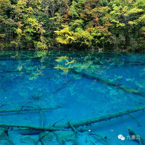 九寨沟景区详解湖水斑斓水色成因:自然形成、并非被污染